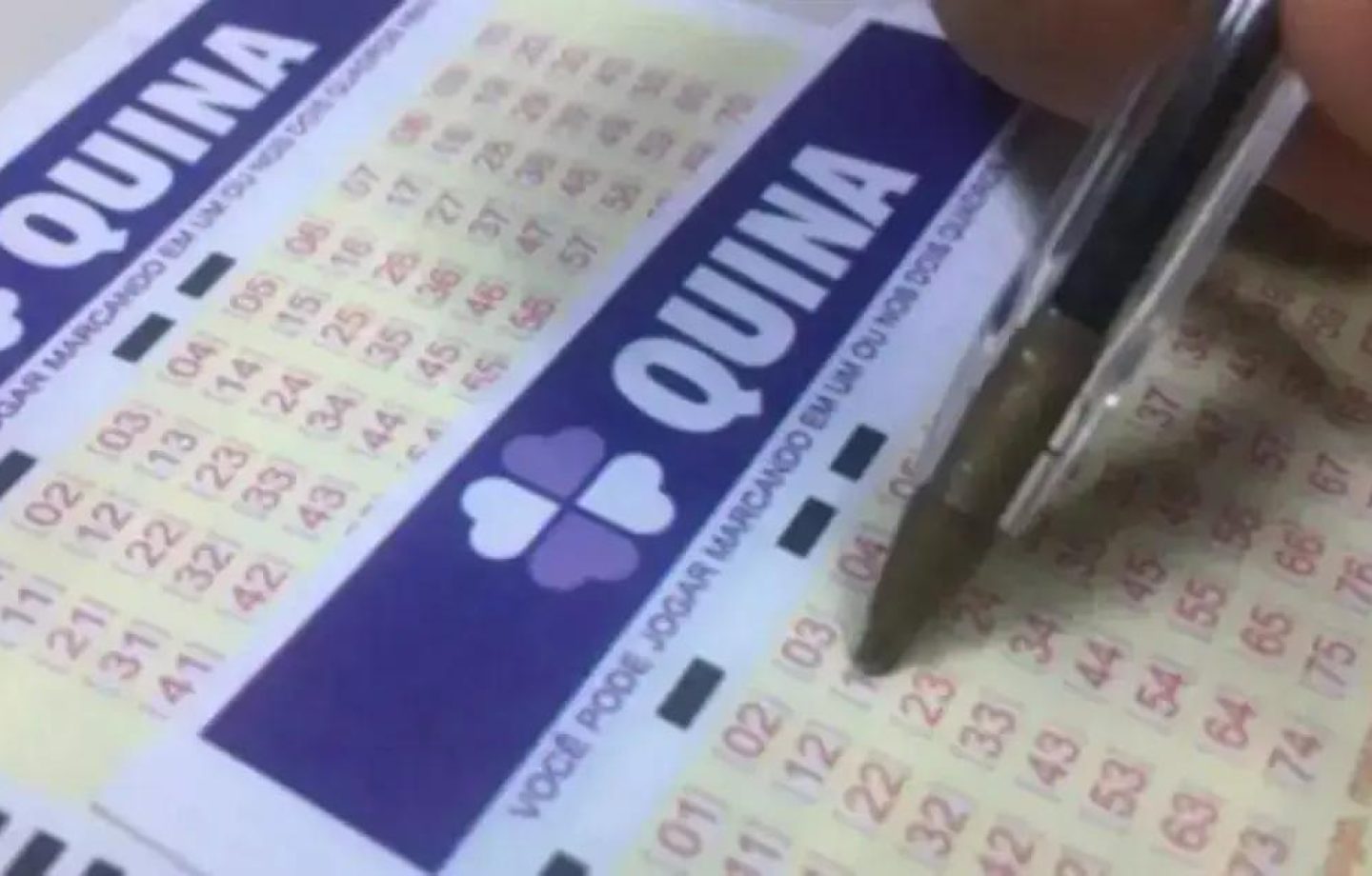 Resultado do sorteio da Quina 6737: veja os números sorteados hoje