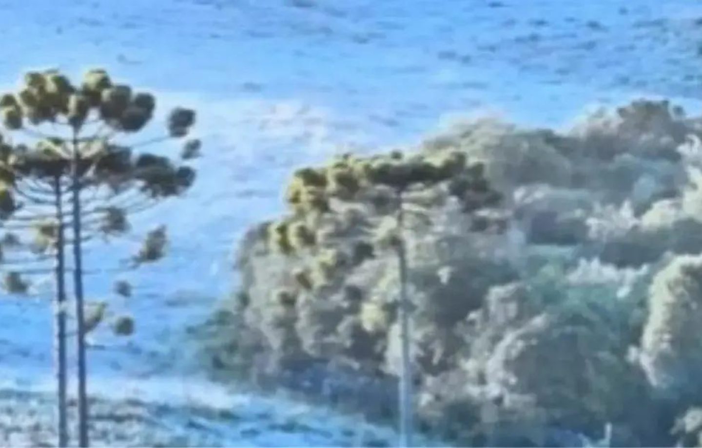 Semana gelada: Santa Catarina se prepara para temperaturas negativas e neve